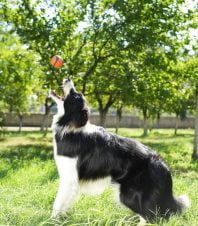 KULUP-UYELIK2-339x226x70x0x198x226x1696930783